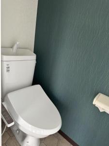 a bathroom with a white toilet and a green wall at Peace Wing 6D in Kami-nagarekawachō +20 photos