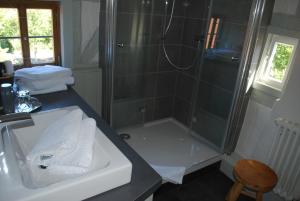 a bathroom with a shower and a sink and a shower at Tauber Lodge in Creglingen +50 photos