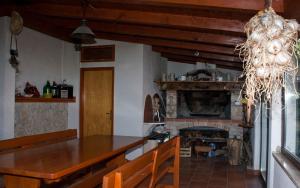 Fotografie z fotogalerie ubytování Apartments Merlin v destinaci Novigrad – Istrie