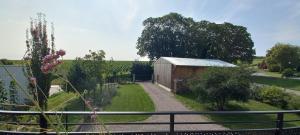 a garden with a shed and a fence at La Bulle Enchantée in Berru +12 photos