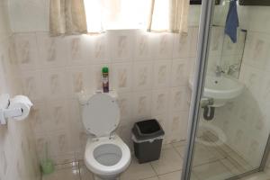 a bathroom with a toilet and a sink at Joyful Vista Guest Lodge in Victoria Falls