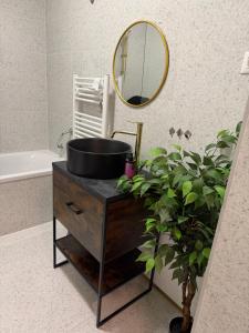 a bathroom with a sink and a mirror and a plant at Apartman ‘Marko’ in Kutina