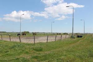 a fence in a field with horses in the background at Wendy in Julianadorp