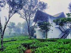 a house in the middle of a tea plantation at The Vagabond Stays in Vagamon