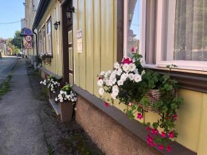 a bunch of flowers on the side of a building at Mulgi Apartment in Viljandi