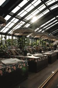 a room filled with lots of beds and potted plants at Rox Resort in Køge