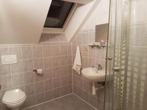 a bathroom with a toilet and a sink at Penzion Hamštejn in Koberovy +43 photos