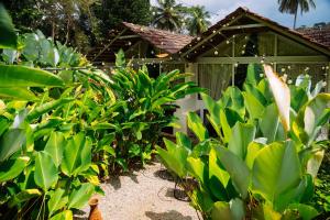 a garden with green plants and a building at Tool House - Great Estate Stay for Remote Work in Siddapur