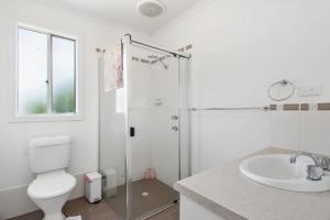 a bathroom with a shower and a toilet and a sink at Wellington Waters in Wellington East