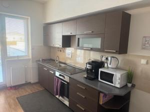 a kitchen with a counter top with a microwave at Ubytovanie Nitra in Nitra