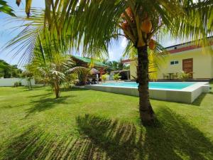 a palm tree in front of a house with a swimming pool at Dom's Oase in Panglao Island