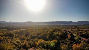 a view of a forest with the sun in the sky at Han Gozdeika in Gozdeyka