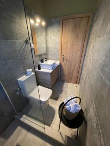 a bathroom with a toilet and a sink and a shower at Papiri Beach Summerhouse in Agios Georgios