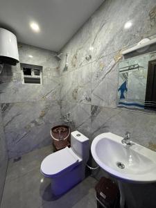 a bathroom with a toilet and a sink at Breezy bluff in Madikeri