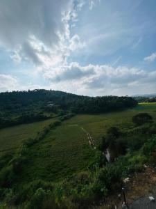 an aerial view of a field with trees and a river at Breezy bluff in Madikeri