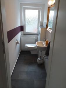a bathroom with a toilet and a sink and a window at Ferienwohnung am Wind mit Dachterasse in Bredstedt +5 photos