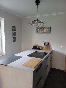a white kitchen with a sink and a pendant light at FeWo Sasa in Blankenburg