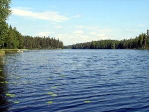 a large body of water with trees in the background at Holiday Home Villa helmi by Interhome in Holiseva +23 photos