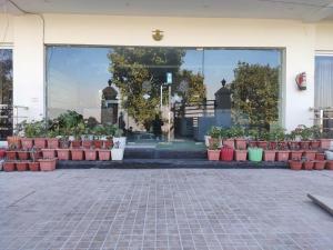 a group of plants in pots in front of a building at Surwel Hotel and Resort in Mussoorie
