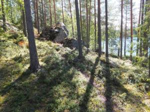 a forest with a large rock and trees at Holiday Home Aili by Interhome in Arrakoski