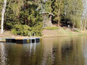 a small dock in the middle of a body of water at Holiday Home Hellinki by Interhome in Vaskivesi