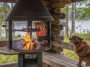 a dog sitting in front of a fire oven at Holiday Home Pajaranta by Interhome in Hara +15 photos