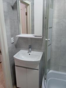 a bathroom with a sink and a mirror and a shower at Квартира-студія in Odesa +12 photos