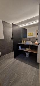 a bathroom with a sink and a counter top at Alpina Hotel-Apartments in Santa Maria Val Müstair +23 photos