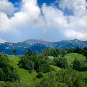 a green hillside with trees and mountains in the background at Hanul Simonului in Bran