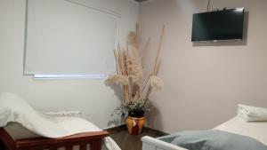 a room with two beds and a window with a plant at Bom Descanso in Realicó