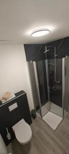 a bathroom with a shower and a toilet in a room at Gasthof Hochstein in Meschede