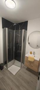 a bathroom with a shower and a sink and a mirror at Gasthof Hochstein in Meschede