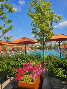 a pool with tables and umbrellas and flowers at Nyvky Like Home - Fayna Town - apt 149 8 поверх, 1 буд in Kyiv
