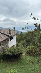 a house sitting on top of a lush green field at Baita del Silenzio in Miazzina