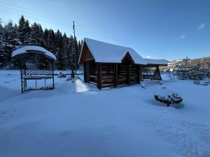 a cabin with snow on the ground in front of it at WOOD house in Skhidnitsa