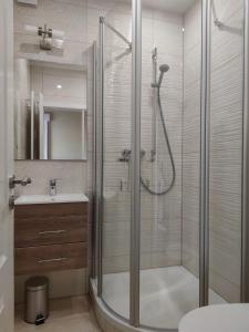 a bathroom with a shower and a sink at Eine gemütliche Ferienwohnung in Kurort Gohrisch