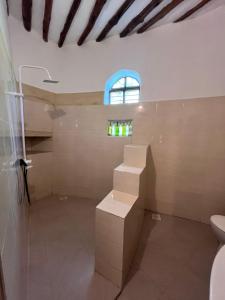 a bathroom with stairs and a window and a toilet at Msafiri House in Kizimkazi +39 photos