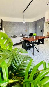 a living room with a table and some plants at Monoambiente Eldorado 2 in Eldorado