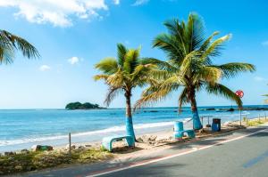 two palm trees on a beach with the ocean at Apto em Barra Velha 340m da PRAIA com SACADA com CHURRASQUEIRA, AR CONDICIONADO WI-FI, PISCINA, PORTARIA 24h, ACADEMIA MINI MERCADO e vaga de GARAGEM in Barra Velha
