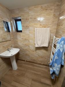a bathroom with a sink and a mirror at Casa Drăghici in Nucet