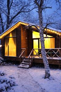 Borjomi Eco Cottage Gona om vinteren