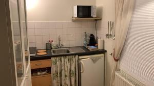 a small kitchen with a sink and a microwave at The Green House Guesthouse in Sunnemo