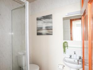 a bathroom with a toilet and a sink and a shower at Angorfa Apartment in Pwllheli +19 photos