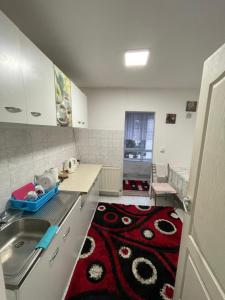 a kitchen with a sink and a red rug at Apartament 28 noiembrie Ap 8 Et 2 in Siret