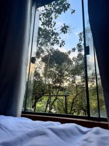 a bedroom window with a view of a tree at NATU Visconde de Mauá in Itatiaia