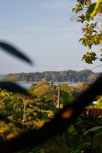 a view of a body of water with trees at Hotel Sol y Mar in Santa Catalina