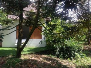 a house through the trees in the yard at Maison de l'Amant in Cai Be