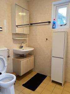 a bathroom with a toilet and a sink at Huize Sallandse Stilte in Heeten +25 photos