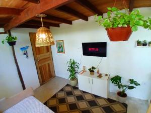 a living room with plants and a tv on the wall at Camburi Chalet - por do sol in São Sebastião