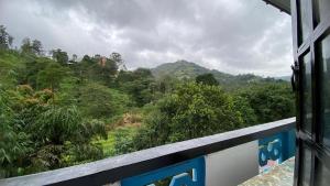 a view of a forest from a window of a building at Friendship Villa-Ella in Nikawatawana